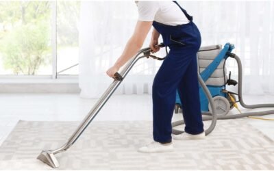 Professional Carpet Cleaning